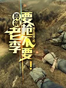 亮剑真不是咱老李干的 亮剑真不是咱老李干的