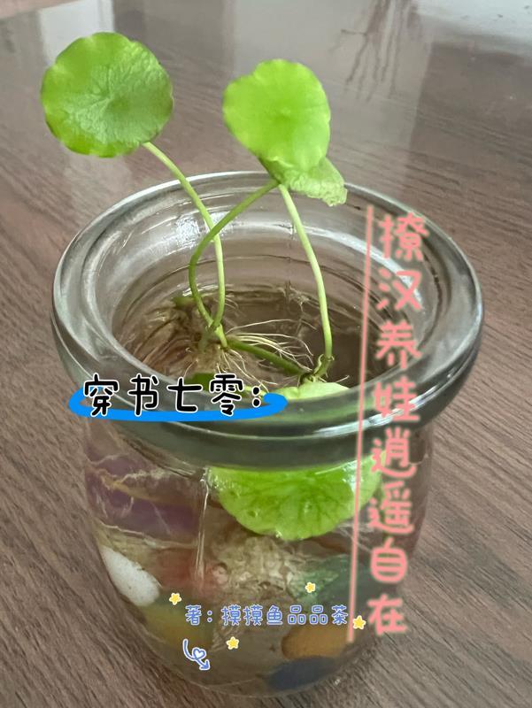 穿越七零撩男神 穿越七零撩男神