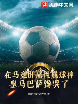 足球里的西甲是什么意思 足球里的西甲是什么意思
