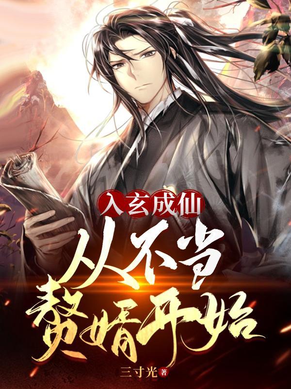 入玄成仙从不当赘婿开始 境界 入玄成仙从不当赘婿开始 境界