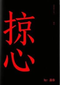 掠心者 掠心者