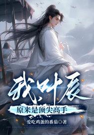 叶辰是什么书名 叶辰是什么书名