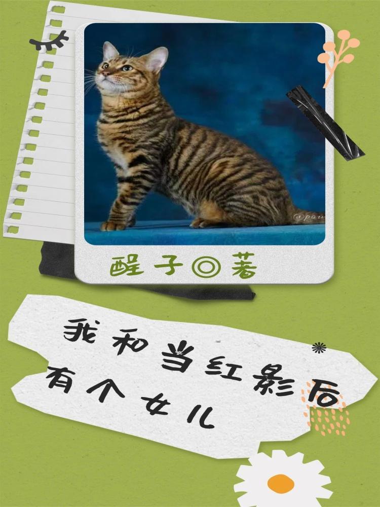 我和影后有个约会 我和影后有个约会