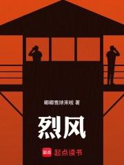 烈风TXT 烈风TXT