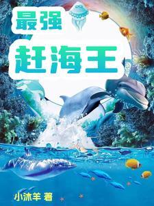 赶海王珍稀 赶海王珍稀