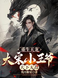 重生天龙之大宋太子 重生天龙之大宋太子