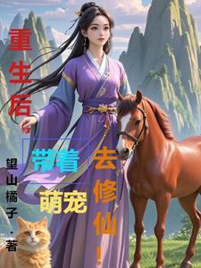 云飞记 云飞记