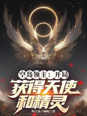 空岛大领主这类的