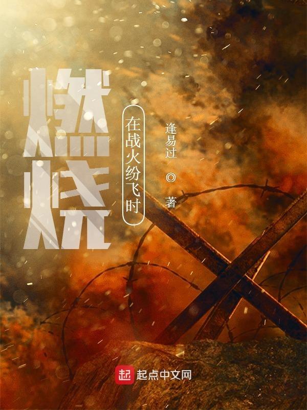 在燃烧的战场 李瑛 在燃烧的战场 李瑛