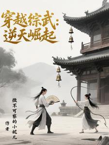 穿越综武逆天崛起免费阅读 穿越综武逆天崛起免费阅读