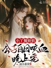 丫鬟公主 丫鬟公主