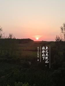 书名我被系统坑惨了 书名我被系统坑惨了