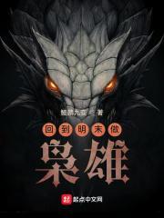 回到明末做枭雄免费阅读 回到明末做枭雄免费阅读