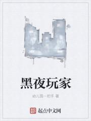 黑夜玩家讲了什么 黑夜玩家讲了什么
