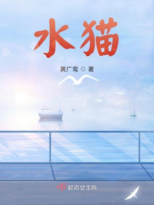 波子汽水猫 波子汽水猫