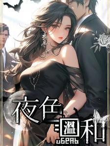 夜色温柔解析 夜色温柔解析