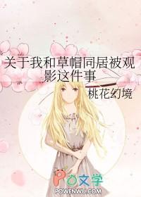 草帽海贼团新任副船长 草帽海贼团新任副船长