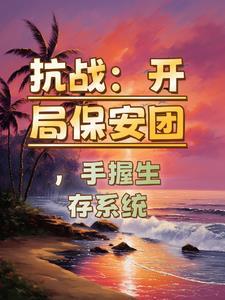 抗战之保安军 抗战之保安军