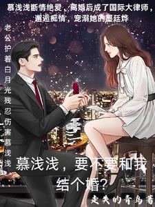 墨少夫人又偷偷生了一个娃 墨少夫人又偷偷生了一个娃