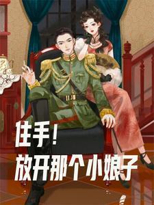 我在民国的军阀生涯2 我在民国的军阀生涯2