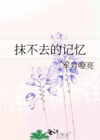 抹不去的回忆的作文600字 抹不去的回忆的作文600字