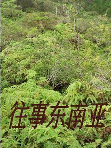 逗留在缅北人员详细名单 逗留在缅北人员详细名单