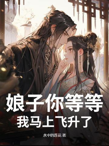 娘子你飞上九重天歌名 娘子你飞上九重天歌名