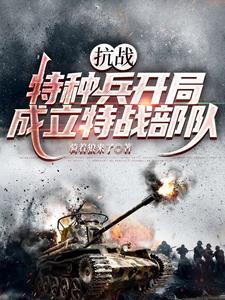 特种兵回到抗战