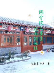 四合院开局成棒梗 四合院开局成棒梗