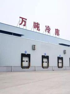 四合院 开局迎娶于莉 四合院 开局迎娶于莉