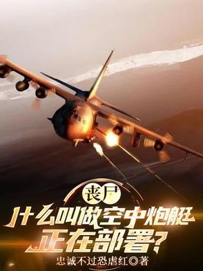 空中炮艇打僵尸 空中炮艇打僵尸