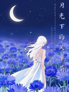 月光下踟蹰 月光下踟蹰