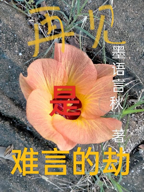 难说再见上一句 难说再见上一句