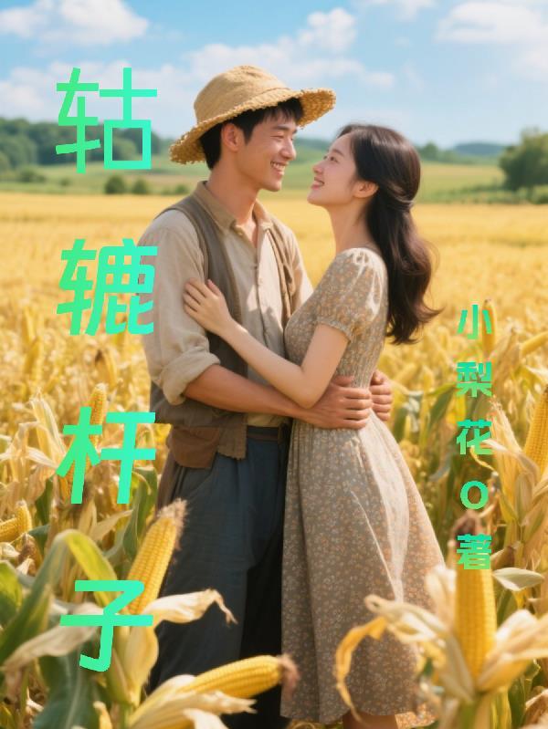 辘轳杠杆示意图 辘轳杠杆示意图