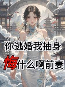 逃妻 逃妻
