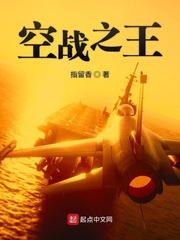 空战之王TXT 空战之王TXT