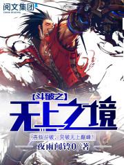 斗破苍穹之无上之境笔趣阁无弹窗免费阅读 斗破苍穹之无上之境笔趣阁无弹窗免费阅读