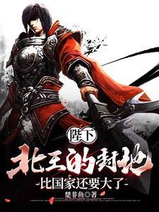 北王是谁? 北王是谁?