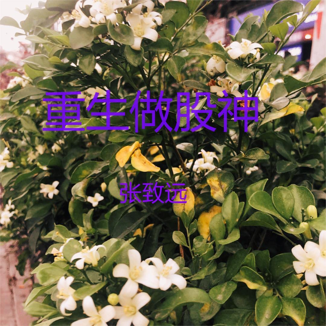 重生股神翻身路 重生股神翻身路