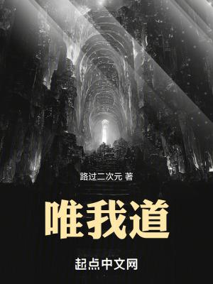 唯我道无防盗在线观看 唯我道无防盗在线观看