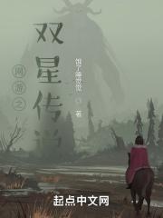 网游之双子星辰 网游之双子星辰