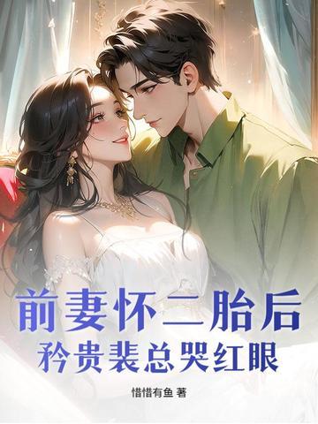 前妻二嫁 前妻二嫁