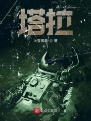 塔拉大桥 塔拉大桥