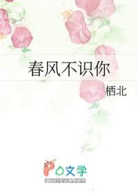 春风不识字下一句是什么 春风不识字下一句是什么