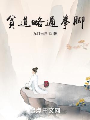 贫道略通拳脚无错字 贫道略通拳脚无错字
