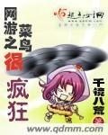 网游之菜鸟很疯狂女主角 网游之菜鸟很疯狂女主角