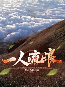 一个人流浪怎么样 一个人流浪怎么样