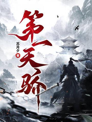 第一天骄林昊的境界划分 第一天骄林昊的境界划分