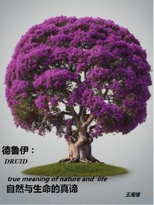 德鲁伊是干什么的 德鲁伊是干什么的