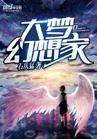 大梦幻想家 起点 大梦幻想家 起点